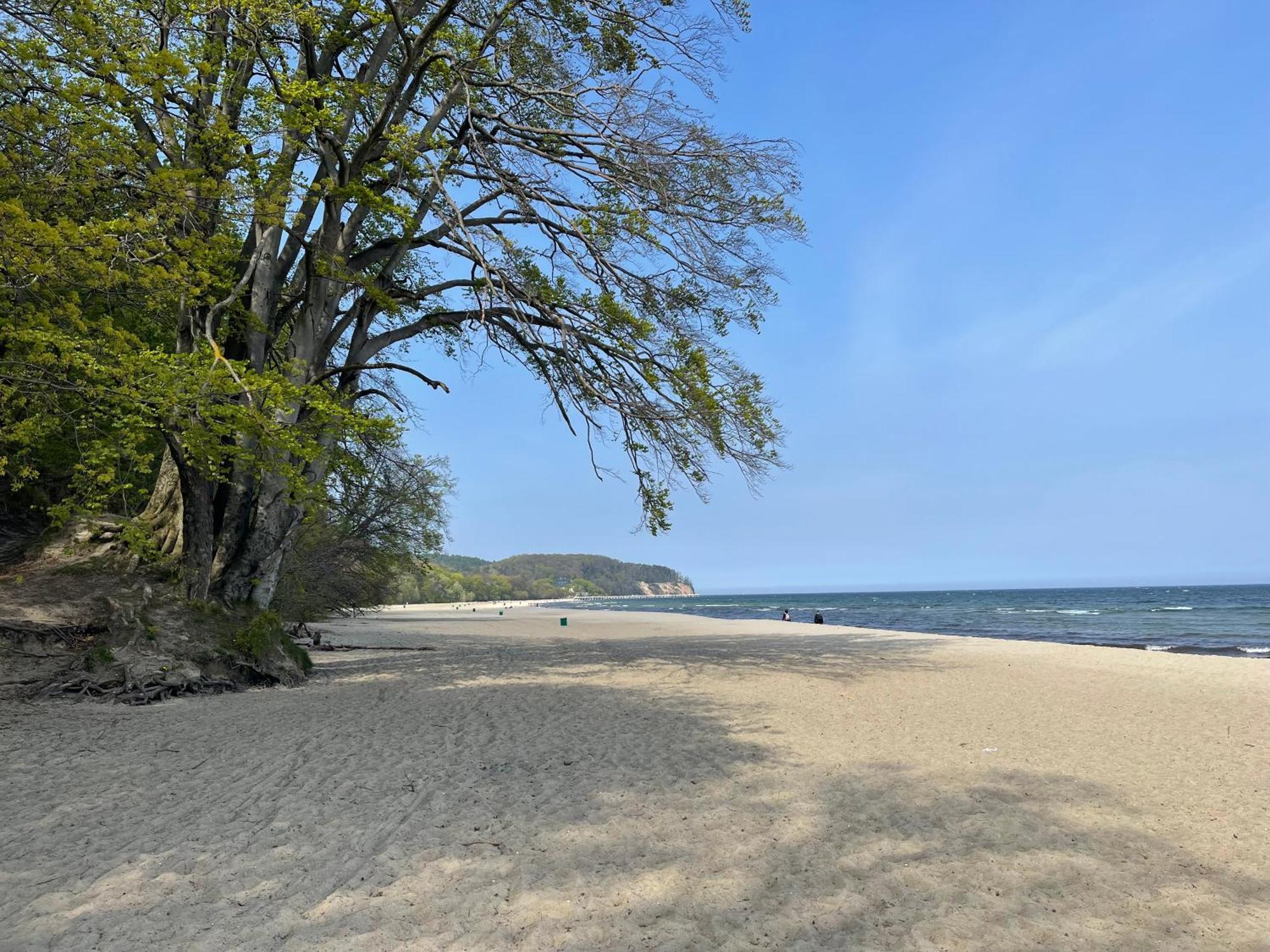 Typu - Przy Plazy Orlowo * Gdynia